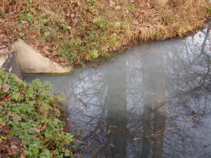 Splašky z dešťové kanalizace ve Strouze (12. 12. 2016)